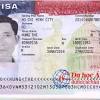 Verpflichtende online registrierung vor reisen in die usa. 1