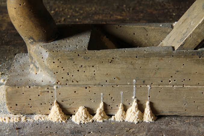 How much does Woodworm Treatment cost? | Garratt's Damp