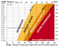 Oh Hit Burning Calories Pictures Calorie Burn Calculators Calories Burned Walking C Calories Burned Calculator Calories Burned Walking Calorie Chart