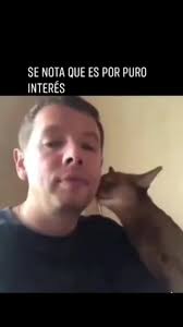 Ivan Wilder Sirpa Huanca