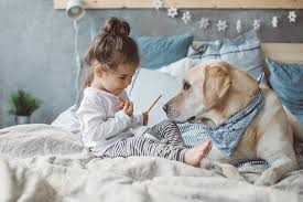 Maybe you would like to learn more about one of these? 10 Best Family Dogs American Kennel Club