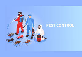 A all county termite and pest control has been proudly exterminating unwanted pests from texas homes and businesses since 1984, we provide you with. Panther Pest Control London My Home Dream