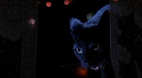 Two Evil Eyes (Dario Argento and George A Romero) review