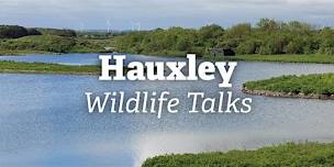Hauxley Wildlife Talks: Margaret Lovering - bees, wax and medicine