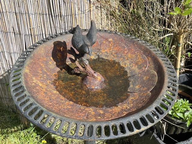 Old bird bath