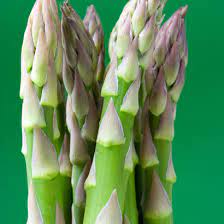 We did not find results for: Asparagus F1 Hybrid Backlim Crowns For Sale Mail Order