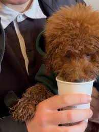 Moments and memories 2025 pt 1