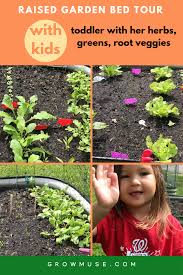 Birdies Raised Garden Beds Pin On Best Of Growmuse