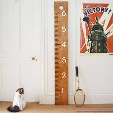 Giant Ruler Growth Chart Wall Decal