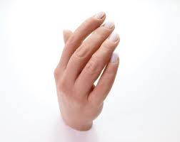 Nail Trainer Silicone Practice Hand And Arm Kit Nail Tech Training Hand Posable Silicone No Glue Nail Tech Curly Bob Hairstyles Nails