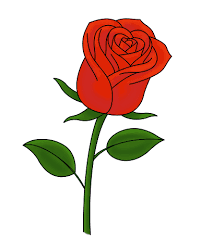 50 Easy Ways To Draw A Rose Learn How To Draw A Rose All the best rose bush drawing 40+ collected on this page. 50 easy ways to draw a rose learn how