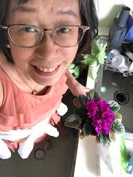 How can I get my African violet to flower? It's in the special pot with the  proper food but hasn't flowered since I bought it a few years ago.