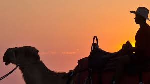 This is my first camel ride and i am glad that i did it on cable beach, broome. 1 2 Day Broome Sights Tour Kimberley Travel Cruise