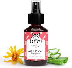 Buy Catly Cat Anti Itch Spray With Coconut Oil Aloe Vera Formulated To Soothe Skin Cat Itchy Skin Relief Natural Skin Care For Happy Cats Moisturize Cat Dry