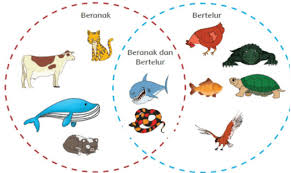 Kunci jawaban tema 6 kelas 4 halaman 108. Tema 1 Subtema 2 Kelas 6 Soal Dan Kunci Jawaban