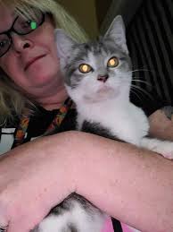 Is the stray cat eating and purring now?