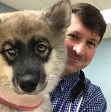 YOU DON'T HAVE TO SEE ALL THE PETS ANIMAL PROTECTION AND THE CRUELTY  INVESTIGATION PROCESS HOW DO I WRITE A STANDOUT JOB AD?