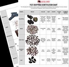 Our expert guide to animal droppings or scats explains how to identify which animal species it comes from and what information it contains about the roe deer poo is relatively small, and usually shiny and brown. Pest Identification By Their Droppings The Attic Pest Authority