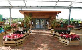 We did not find results for: Dobbies Garden Centre Barlborough Links Chesterfield Derbyshire