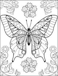 The species that you can color are. Butterflies Coloring Pages For Adults