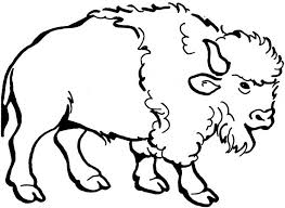 Nice American Bison Coloring Page For Kids Coloring Pages For Kids Coloring Pages Cool Drawings