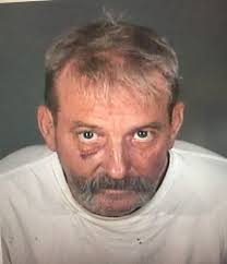 ALERT RESIDENTS HELP POLICE APPREHEND SUSPECT AND