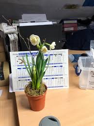 Don't worry anymore as you come at correct spot. Mother S Day And St Patrick S Day 2021 Worcester Nursing Care
