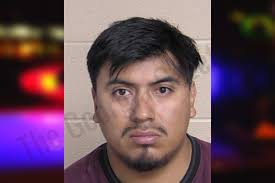 Luis Fernando — Walker County Jail Bookings