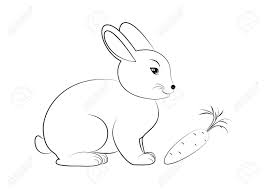 Click the chibi bunny with carrot coloring pages to view printable version or color it online compatible with ipad and android tablets. Coloring Page Outline Of Rabbit And Carrot Vector Illustration Royalty Free Cliparts Vectors And Stock Illustration Image 141766150