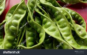 Image result for Crudia