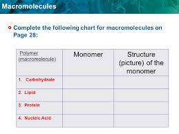 Macromolecule Of Life Poster You Will Love Macromolecules
