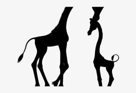 Giraffe clipart black and white. Silhouette Clipart Giraffe Black And White Baby Giraffe Clipart Free Transparent Png Download Pngkey