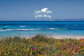 Things to do in tiburon, california: Kiosko Tiburon Beach Club Formentera