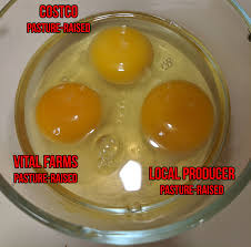 We did not find results for: Costco Pasture Raised Eggs Vs Vital Farms Pasture Raised Eggs Ketomealprep