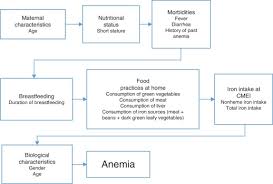 Prevalence And Risk Factors Of Anemia In Children