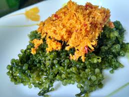 Hey sobat,selamat datang di channel berburu makan!*kali ini team berburu makan akan bereksperimen lagi membuat resep sayur urap bali. Serupa Tapi Tak Sama 7 Kuliner Nusantara Mirip Urap