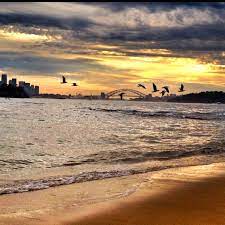 View From Milk Beach Sydney New South Wales Beach Sydney Australia