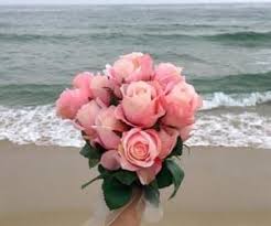 Chula vista, bonita ca florist with free deliveries. Gambar Beach Beautiful And Ocean Flowers Pretty Flowers Flower Aesthetic