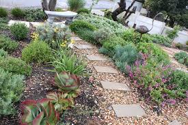 Dreamscapes Landscaping Indigenous Cape Town Patio Small Gardens Succulent Landscaping Front Yard Water Wise Landscaping