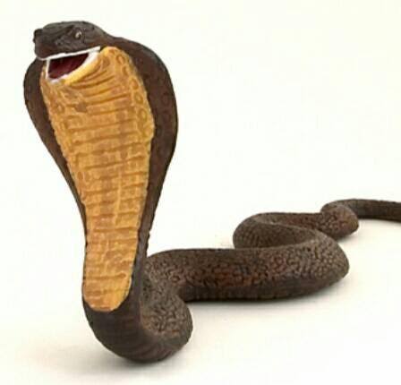 නයා-Naya