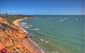 Best Beach In Inner Melbourne Half Moon Bay Melbourne Beach Beach Visiting