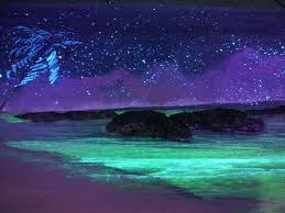 Bioluminescent Beach Puerto Rico 