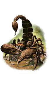 78 Scorpion Wallpaper Ideas Scorpion Wallpaper Scorpio Support us by sharing the content, upvoting wallpapers on the page or sending your own background. scorpion wallpaper scorpio