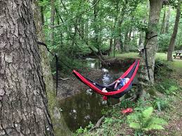 This hammock is also suitable as a jungle hammock. How To Find The Perfect Hammock Hobbies On A Budget