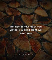Life Lessons Quotes Reality Of Life Quotes Life Lesson Quotes Real Life Quotes