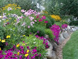 In colorado, this can mean choosing a location as much as. Planting Services Personal Touch Landscaping Gardening