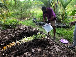 Buy online and enjoy delivery to you! Growing Our Own Kontinentalist