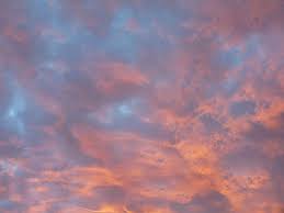 Puesta De Sol Tarde Cielo Nubes Estado De Animo Naturaleza Nube Cielo Fondos Cielo Dramatico Belleza En La Naturaleza Pxfuel Suscríbete a envato elements para obtener photos descargas ilimitadas por una tarifa mensual única. naturaleza nube cielo fondos cielo