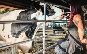 Check spelling or type a new query. Animal Sanctuaries On Brink Of Collapse As Covid 19 Dries Up Donations The Times Of Israel