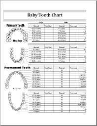 baby tooth eruption record and information excel chart